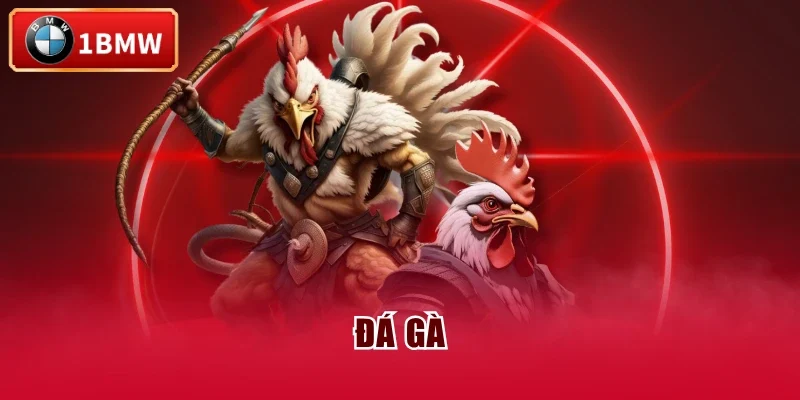 Đá gà Đá gà