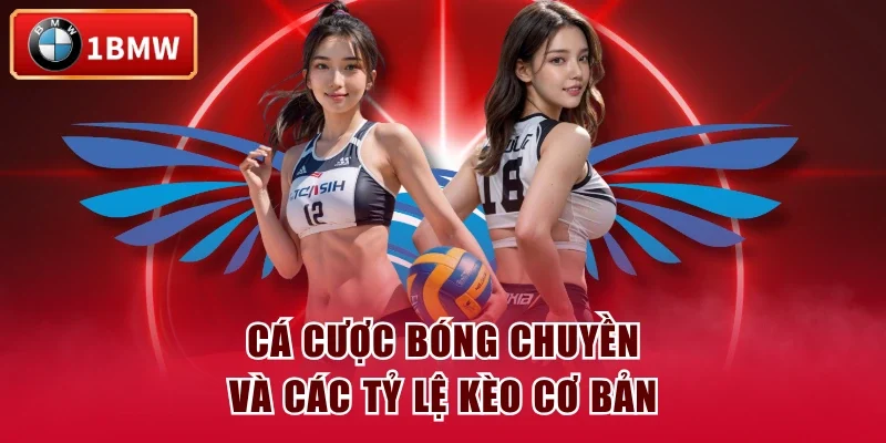 Cá cược bóng chuyền và các tỷ lệ kèo cơ bản Cá cược bóng chuyền và các tỷ lệ kèo cơ bản