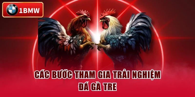 Các bước tham gia trải nghiệm đá gà tre