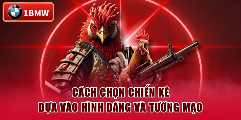 Cách chọn chiến kê dựa vào hình dáng và tướng mạo Cách chọn chiến kê dựa vào hình dáng và tướng mạo