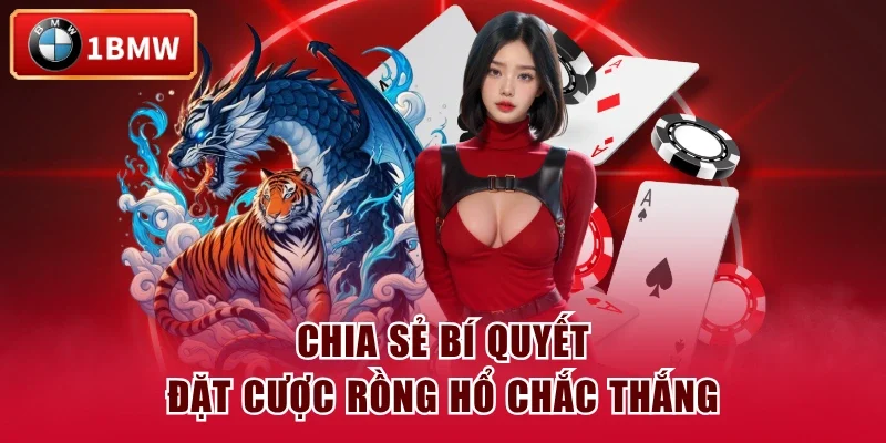 Chia sẻ bí quyết đặt cược Rồng Hổ chắc thắng Chia sẻ bí quyết đặt cược Rồng Hổ chắc thắng