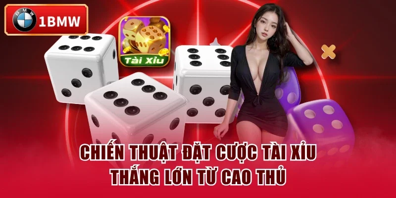 Chiến thuật đặt cược tài xỉu thắng lớn từ cao thủ Chiến thuật đặt cược tài xỉu thắng lớn từ cao thủ