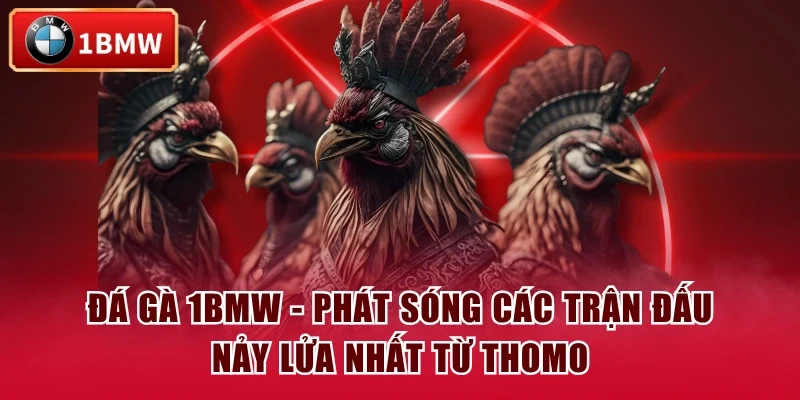Đá Gà 1BMW - Phát Sóng Các Trận Đấu Nảy Lửa Nhất Từ Thomo