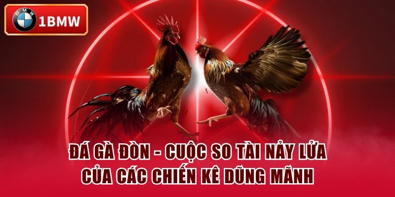 Đá Gà Đòn - Cuộc So Tài Nảy Lửa Của Các Chiến Kê Dũng Mãnh