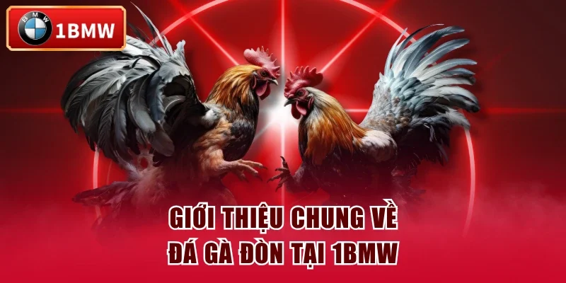 Giới thiệu chung về đá gà đòn tại 1BMW Giới thiệu chung về đá gà đòn tại 1BMW