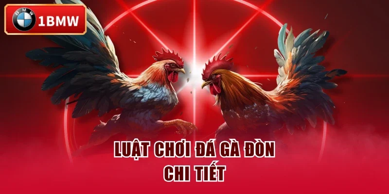 Luật chơi đá gà đòn chi tiết Luật chơi đá gà đòn chi tiết