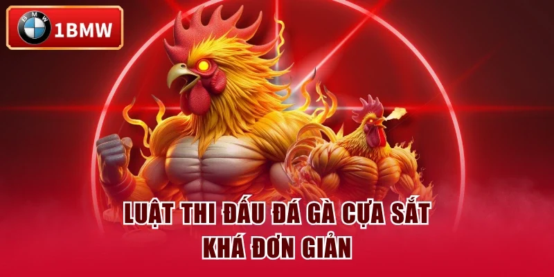 Luật thi đấu đá gà cựa sắt khá đơn giản Luật thi đấu đá gà cựa sắt khá đơn giản