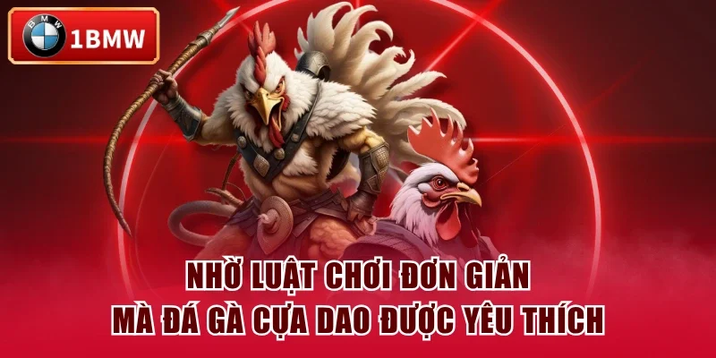 Nhờ luật chơi đơn giản mà đá gà cựa dao được yêu thích Nhờ luật chơi đơn giản mà đá gà cựa dao được yêu thích