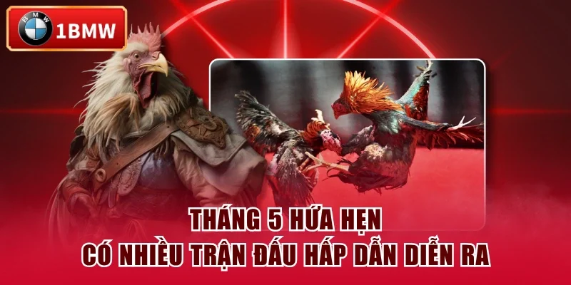 Tháng 5 hứa hẹn có nhiều trận đấu hấp dẫn diễn ra Tháng 5 hứa hẹn có nhiều trận đấu hấp dẫn diễn ra