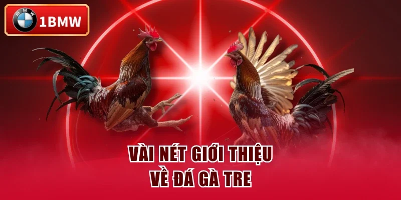 Vài nét giới thiệu về đá gà tre